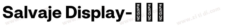 Salvaje Display字体转换 Salvaje Display字体转换